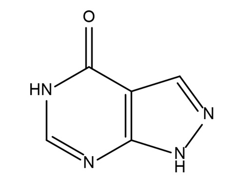 别嘌醇（有GMP，DMF公開保密部分）